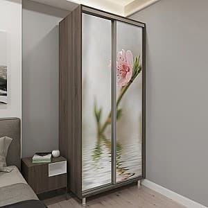 Шкаф-купе PS Д-120 (2)