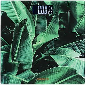 Cantar Ardesto SCB-965 Leaves