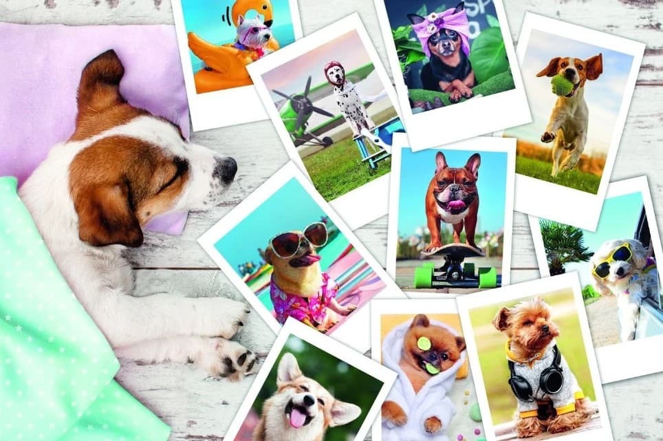 Пазлы Trefl 23003