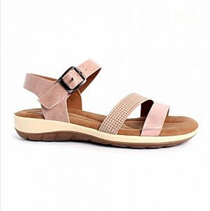  NL 203532-7 Pink
