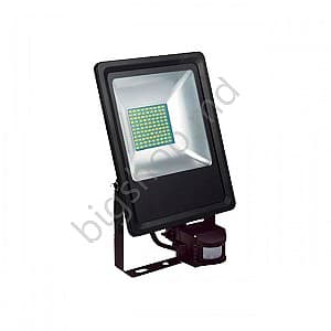 Proiector cu LED Horoz 50 W 6500 K (cu senzor)