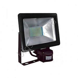 Proiector cu LED Horoz PUMA/S-100