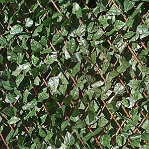 Plasa decorativa Greentech Willow-Laurel