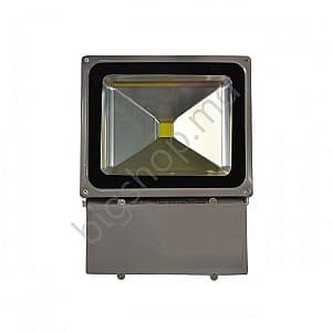 Proiector cu LED Elmos SN101F70WB